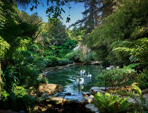 Hotel Bel-Air - Dorchester Collection - image 50