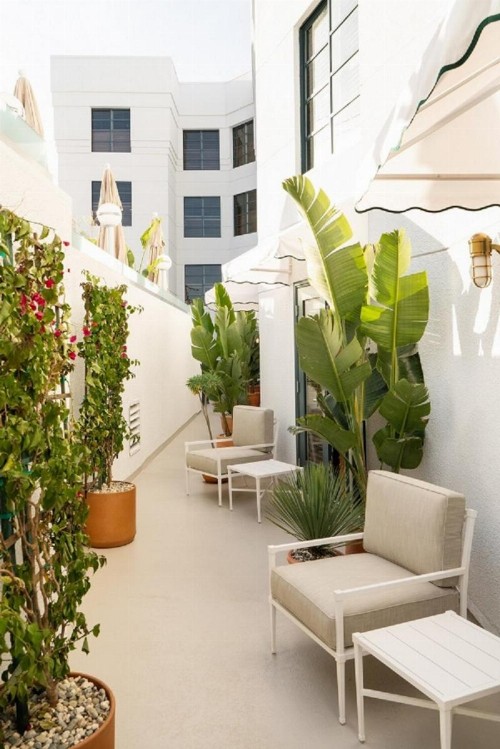 The Orlando Hotel - image 37