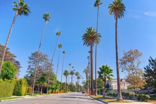 Hotel Normandie - Los Angeles - image 8