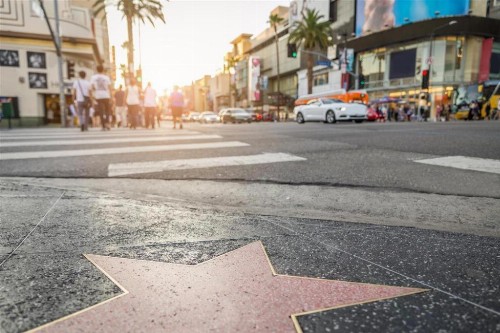 Hotel Normandie - Los Angeles - image 9