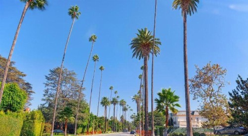 Hotel Normandie - Los Angeles - image 11