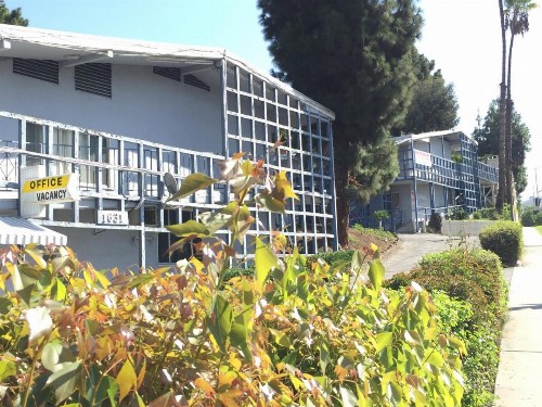 Holiday Lodge - image 12