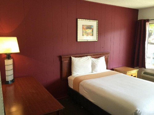 Holiday Lodge - image 5