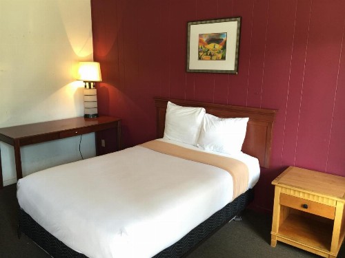 Holiday Lodge - image 6