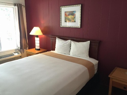 Holiday Lodge - image 7