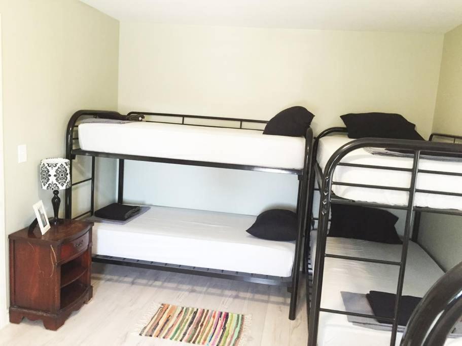 Hollywood Stay - image 3