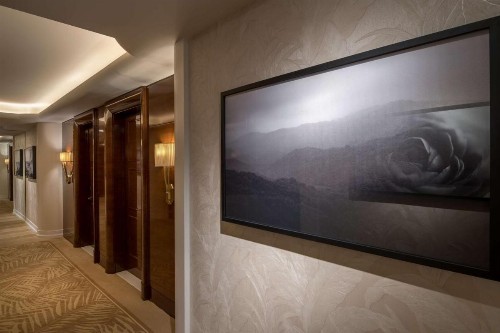 Waldorf Astoria Beverly Hills - image 33