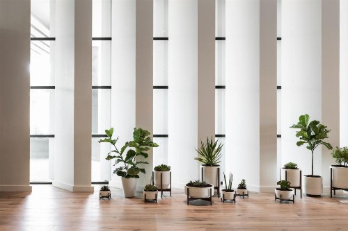 Kimpton Everly Hotel an IHG Hotel - image 13