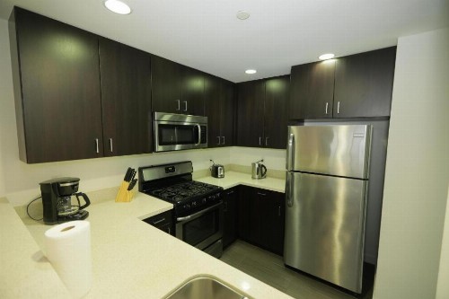 Downtown Cosmopolitan Residences - image 5