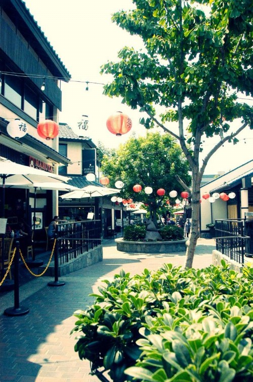 Little Tokyo Hotel - image 14