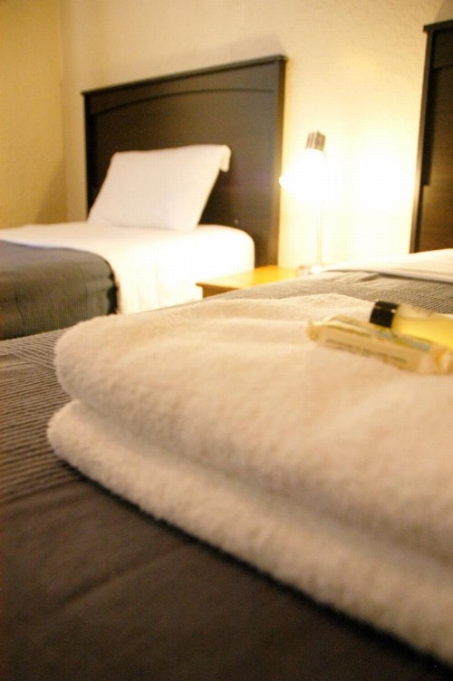 Little Tokyo Hotel - image 4