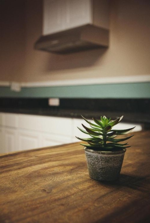 Melrose Hostel - image 18