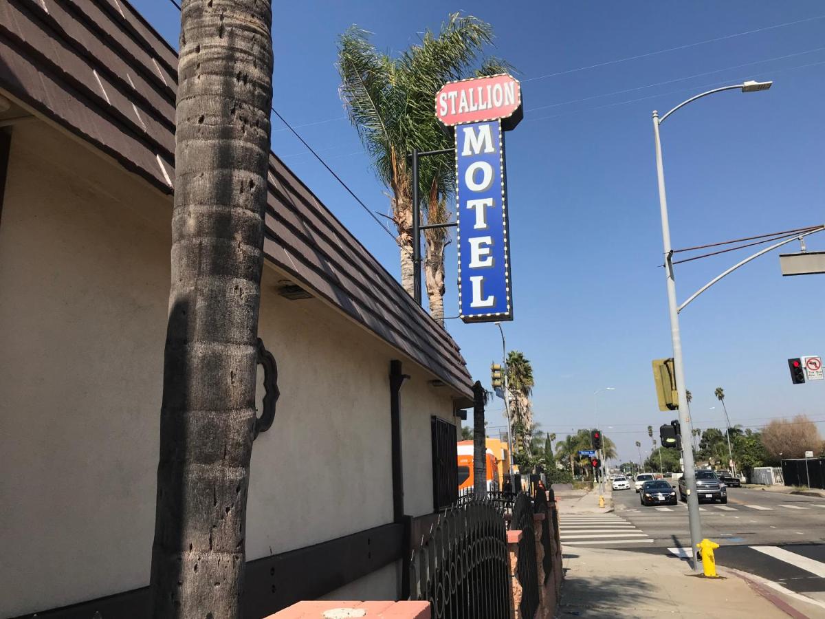 Stallion Motel - main image