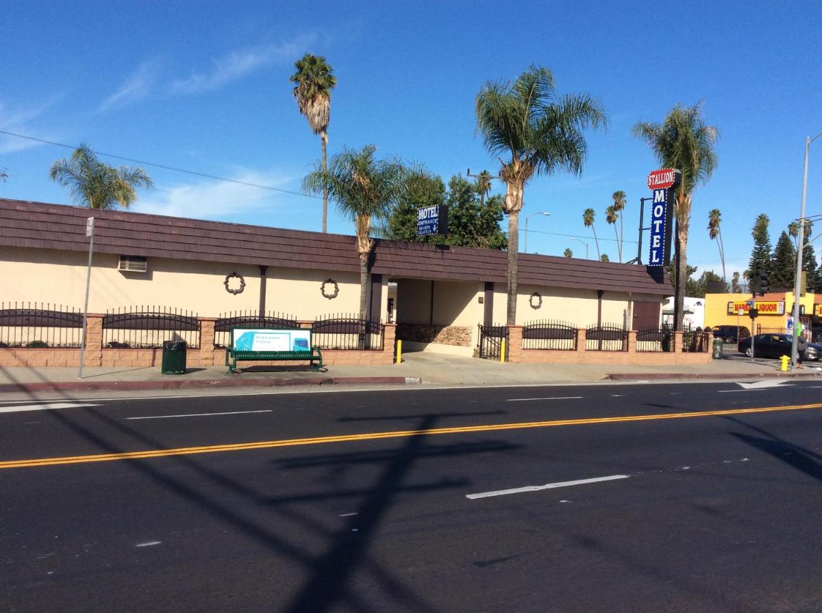 Stallion Motel - image 4