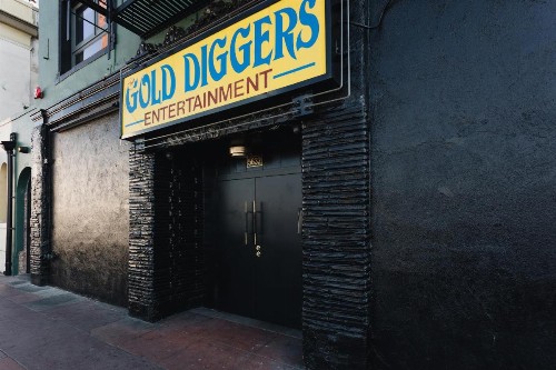 Gold-Diggers - image 28