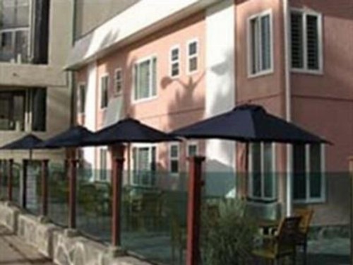 Venice on the Beach Hotel - image 4