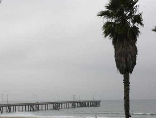 Venice on the Beach Hotel - image 6