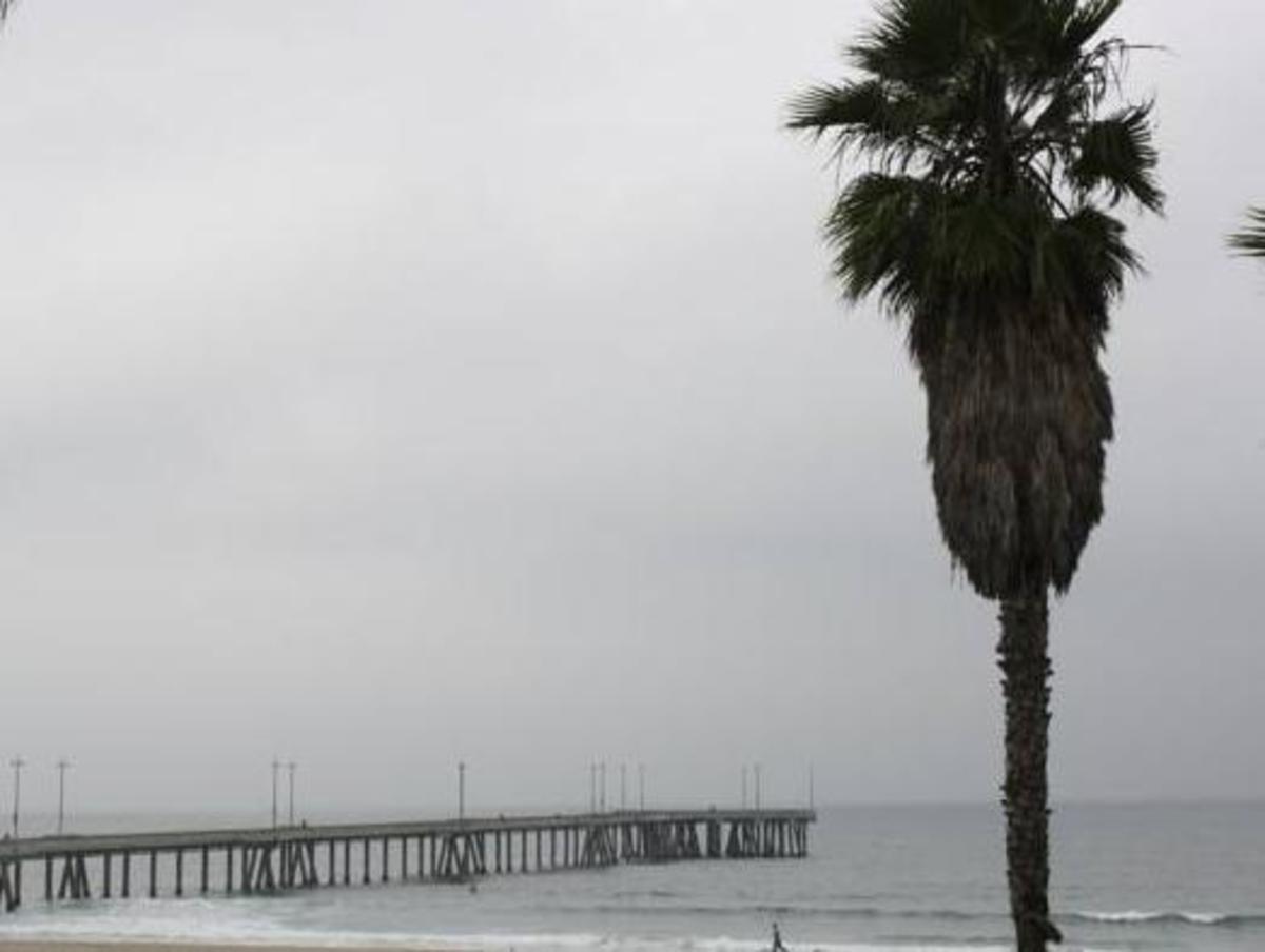 Venice on the Beach Hotel - image 6