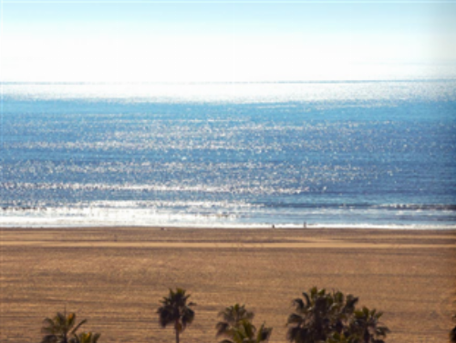 Oceana Beach Club Hotel - image 5