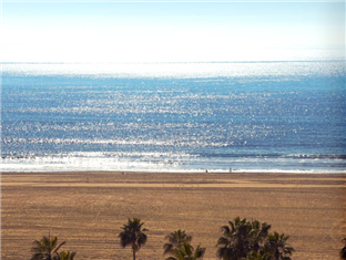Oceana Beach Club Hotel - image 5