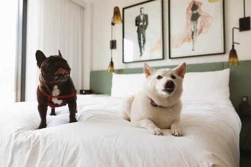 The Godfrey Hotel Hollywood - image 46