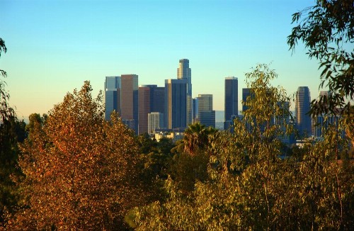 Hollywood Cosmopolitan Apartments - image 37