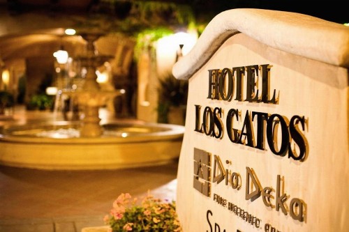 Hotel Los Gatos - image 17