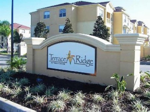 Paradise - image 7