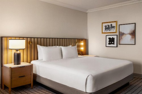 Crowne Plaza Louisville Airport Expo Center an IHG Hotel - image 18