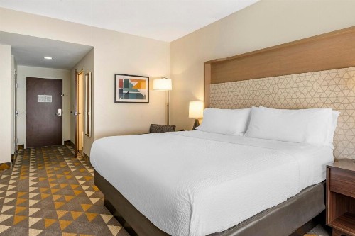 Holiday Inn Louisville Airport South an IHG Hotel - image 24