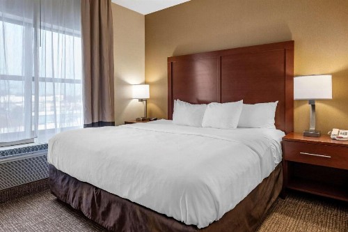Comfort Inn Southwest Louisville - image 6
