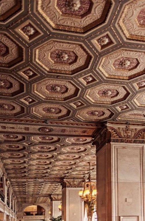 The Brown Hotel - image 39