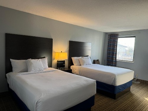 Baymont by Wyndham Louisville Airport South - image 11