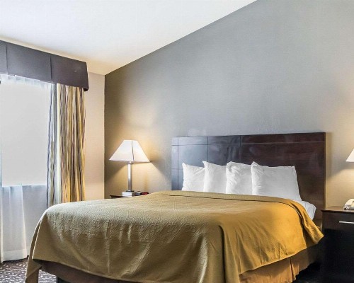 Quality Inn & Suites University/Airport - image 17