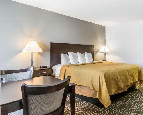 Quality Inn & Suites University/Airport - image 19