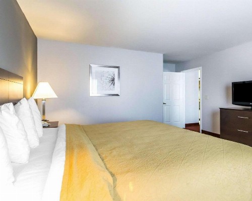 Quality Inn & Suites University/Airport - image 24