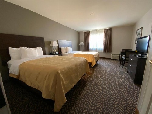Quality Inn & Suites University/Airport - image 27