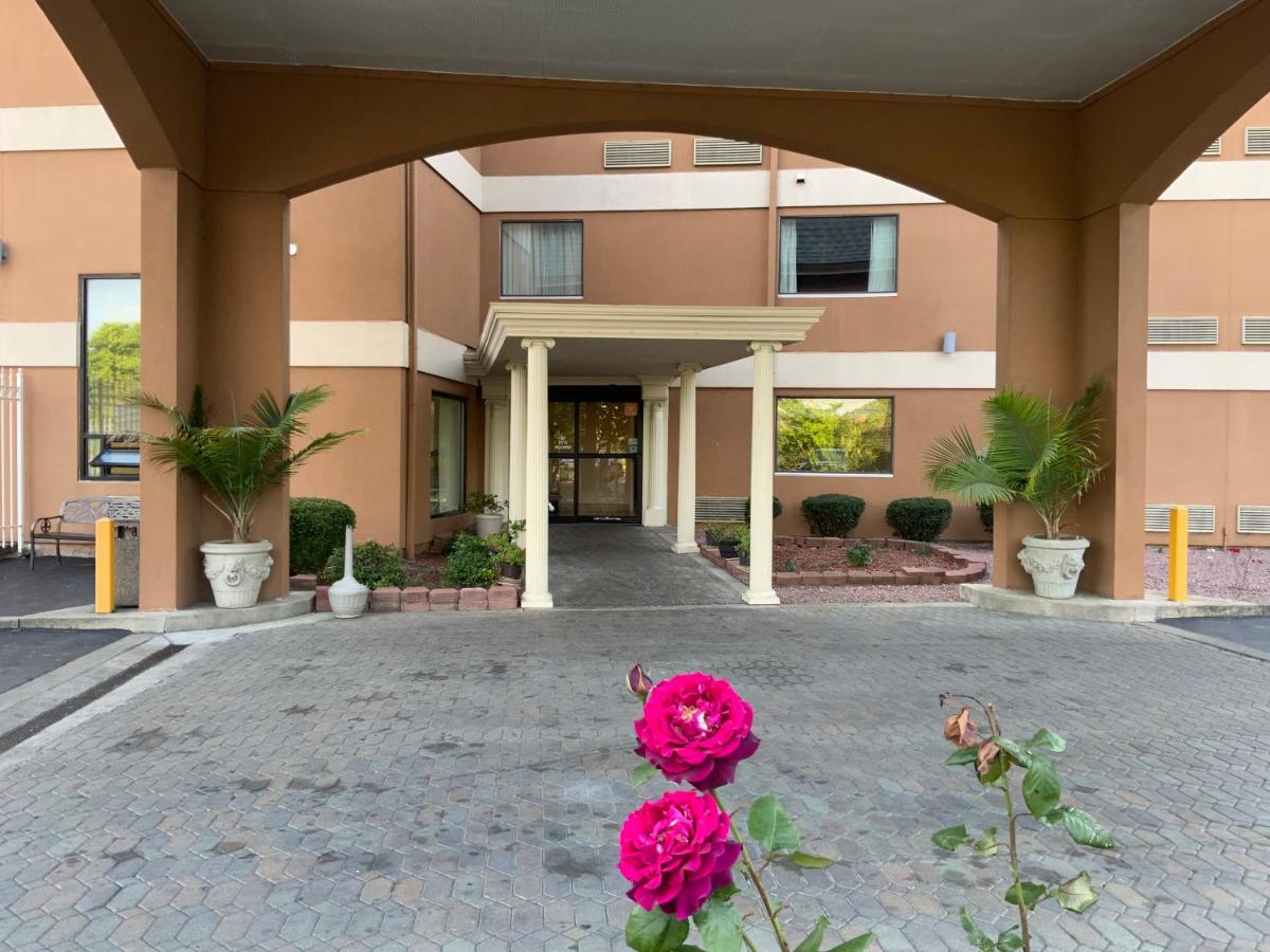Quality Inn & Suites University/Airport - image 3