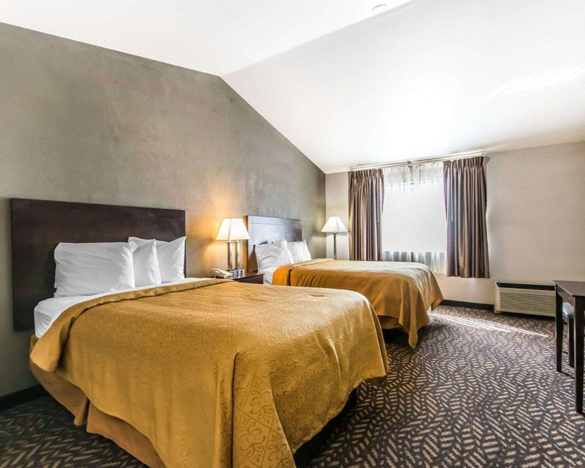 Quality Inn & Suites University/Airport - image 7