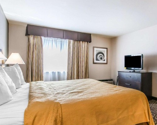 Quality Inn & Suites University/Airport - image 8