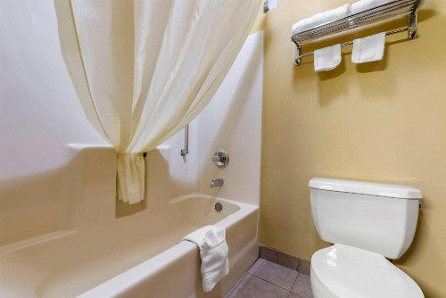 Econo Lodge Airport Louisville - image 10