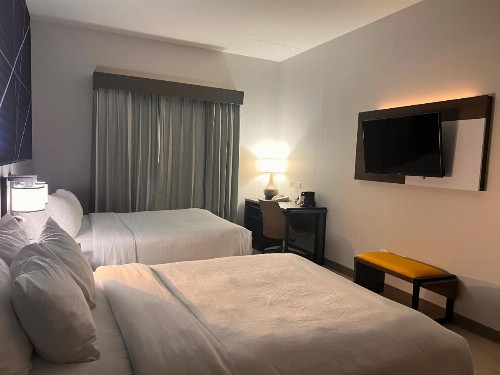 Comfort Suites Airport Louisville - image 46