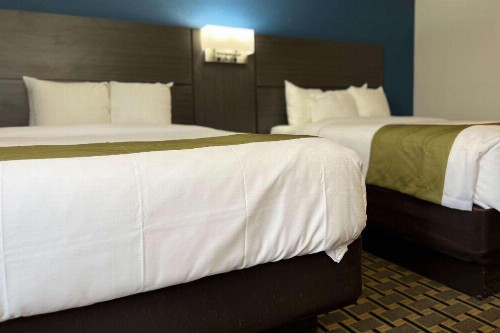 Days Inn by Wyndham Hurstbourne - image 40