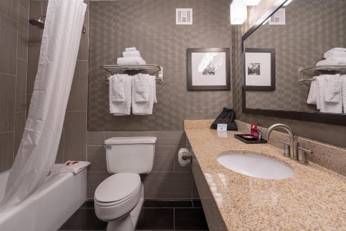 Best Western Premier Airport/Expo Center Hotel - image 12