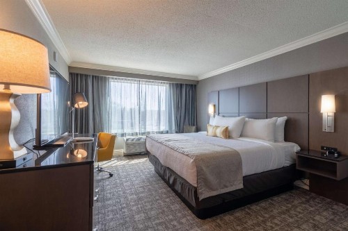 Best Western Premier Airport/Expo Center Hotel - image 18