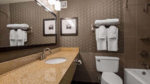 Best Western Premier Airport/Expo Center Hotel - image 20