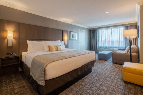 Best Western Premier Airport/Expo Center Hotel - image 34