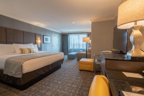 Best Western Premier Airport/Expo Center Hotel - image 36