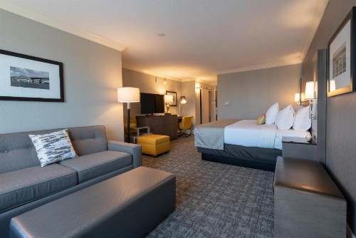 Best Western Premier Airport/Expo Center Hotel - image 39