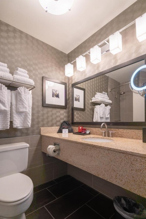 Best Western Premier Airport/Expo Center Hotel - image 41